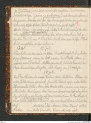 Seite 24, Tagebuch "Palästina (Tagebuch)" (NHMW-PRAE-BBB-80)